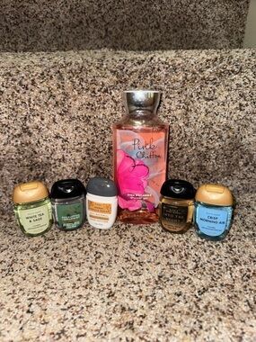 Bath and Body Works Hand Sanitizer and Shower Gel
